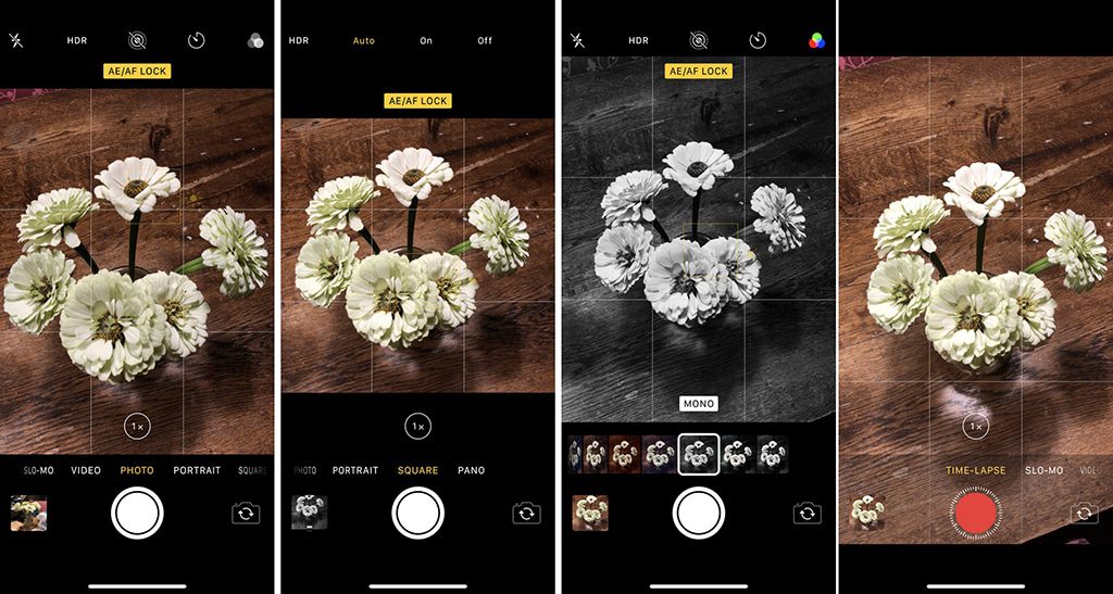 14 of the Best Camera Apps for iPhone (Updated for 2024)